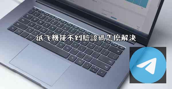 纸飞機接不到驗證碼怎麼解決