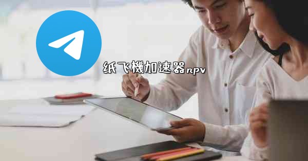 纸飞機加速器npv