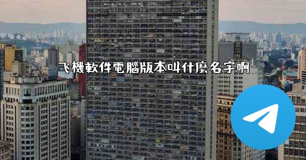 飞機軟件電腦版本叫什麼名字啊