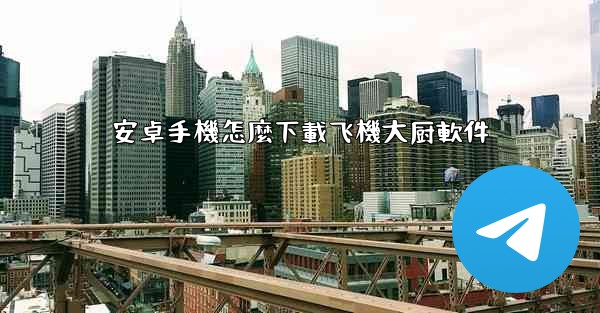 安卓手機怎麼下載飞機大厨軟件