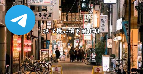 纸飞機pc端下載地址