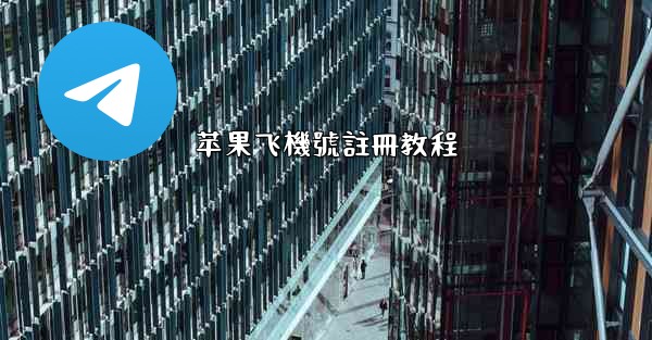 苹果飞機號註冊教程