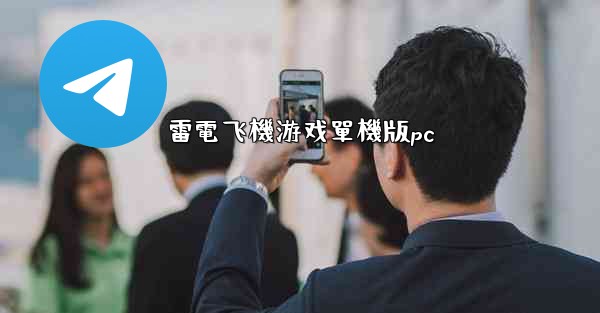 雷電飞機游戏單機版pc