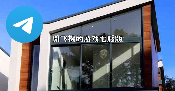 開飞機的游戏電腦版