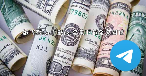 纸飞機txt下載txt全集下載全文阅读