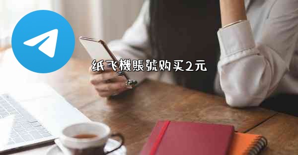纸飞機賬號购买2元