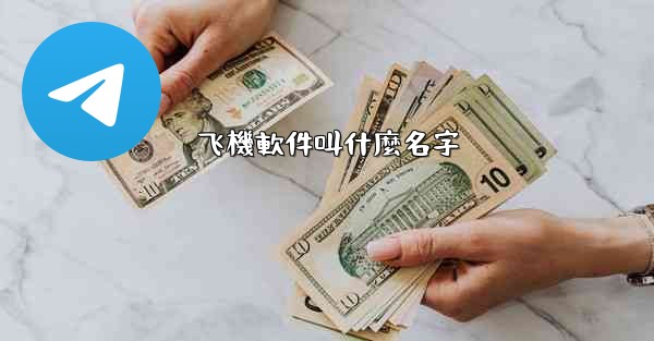 飞機軟件叫什麼名字