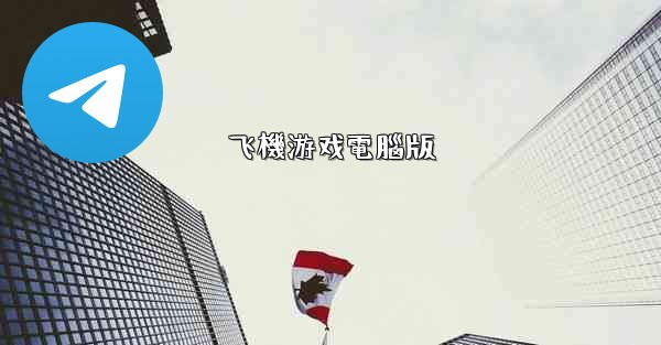 飞機游戏電腦版