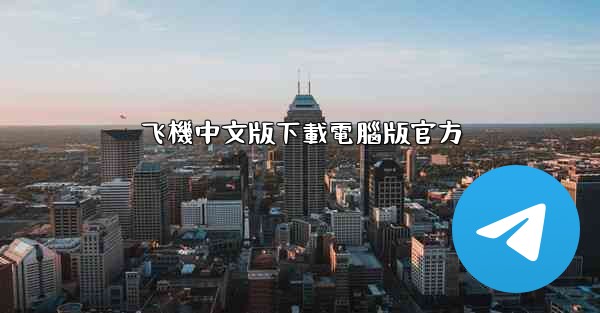 飞機中文版下載電腦版官方