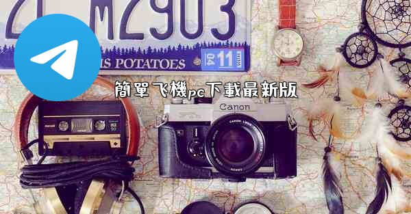 簡單飞機pc下載最新版