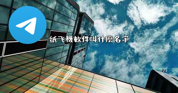 纸飞機軟件叫什麼名字