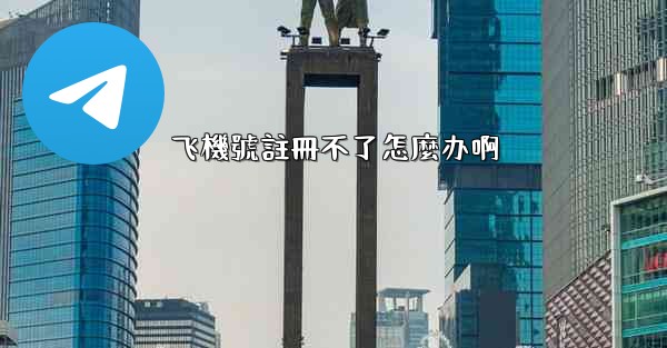 飞機號註冊不了怎麼办啊