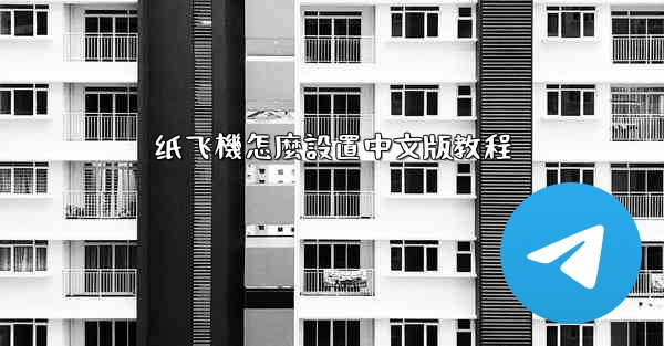 纸飞機怎麼設置中文版教程