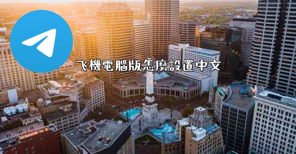 飞機電腦版怎麼設置中文