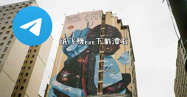 纸飞機txt下載潭石