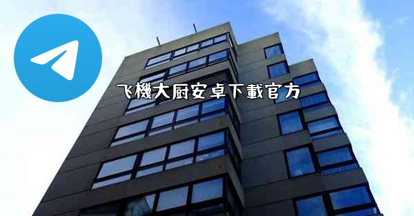 飞機大厨安卓下載官方