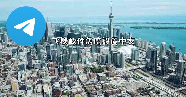 飞機軟件怎麼設置中文