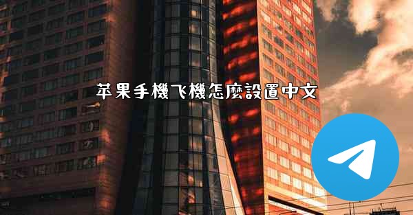 苹果手機飞機怎麼設置中文