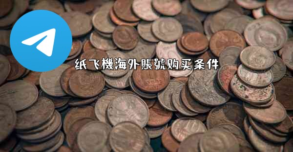 纸飞機海外賬號购买条件