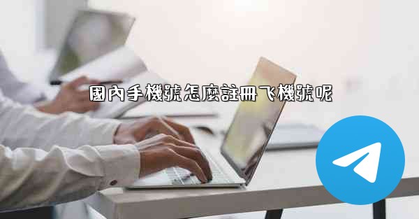 國內手機號怎麼註冊飞機號呢