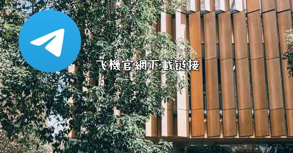 飞機官網下載链接