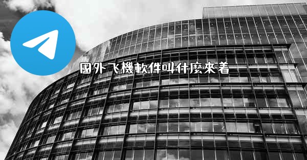 國外飞機軟件叫什麼來着