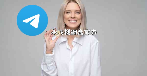 小飞機網盘官方