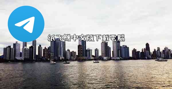 纸飞機中文版下載電腦