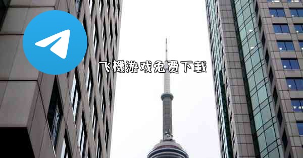 飞機游戏免费下載