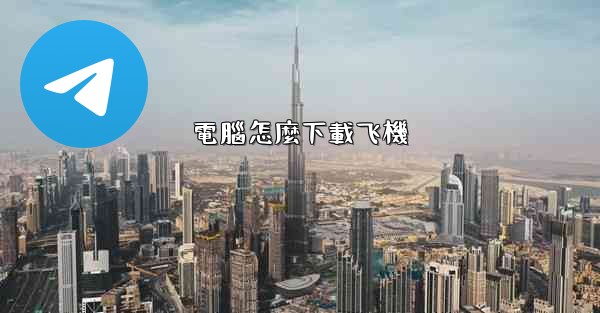 電腦怎麼下載飞機