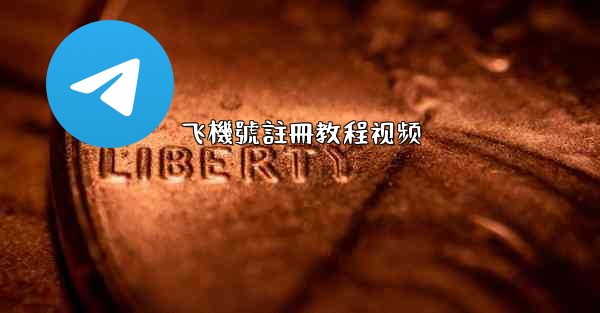 飞機號註冊教程视频