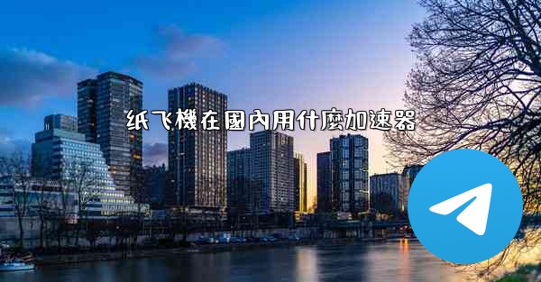 纸飞機在國內用什麼加速器