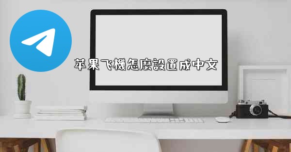 苹果飞機怎麼設置成中文