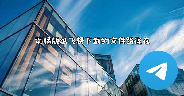 電腦版纸飞機下載的文件路径在