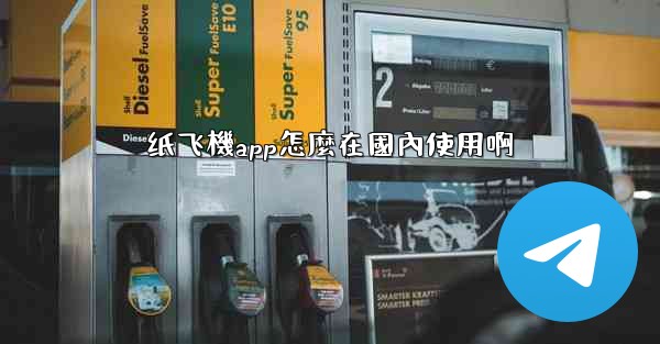 纸飞機app怎麼在國內使用啊