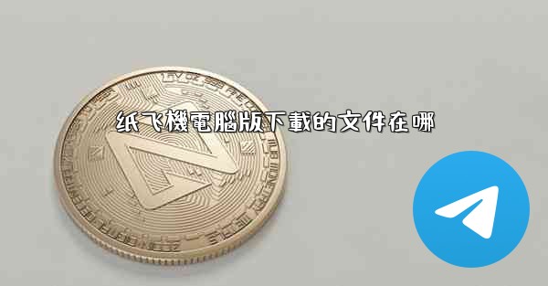 纸飞機電腦版下載的文件在哪