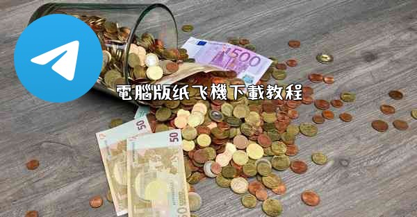 電腦版纸飞機下載教程