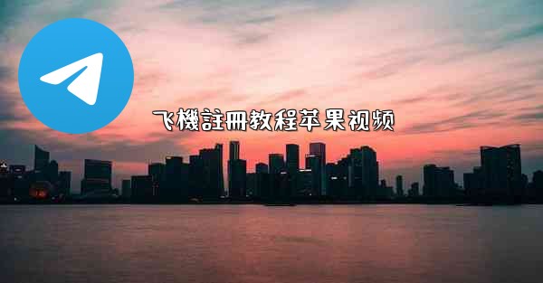 飞機註冊教程苹果视频