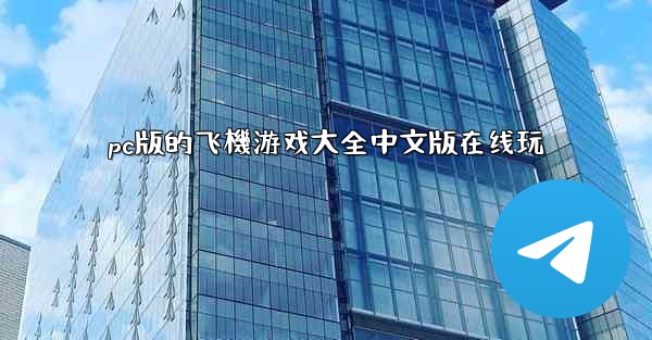 pc版的飞機游戏大全中文版在线玩