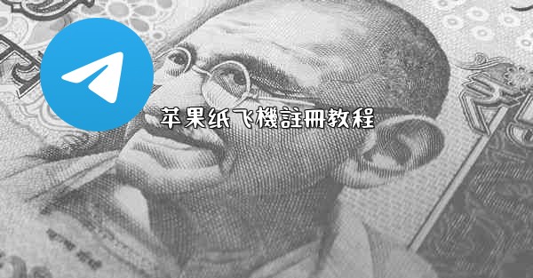 苹果纸飞機註冊教程