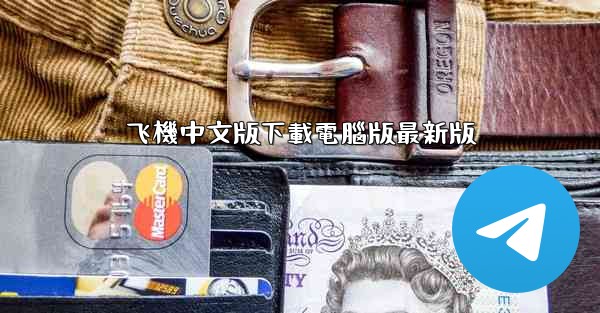 飞機中文版下載電腦版最新版