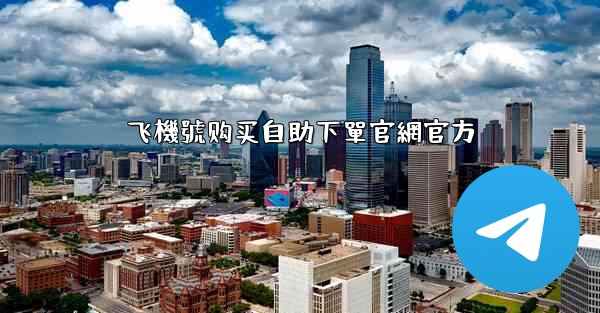 飞機號购买自助下單官網官方