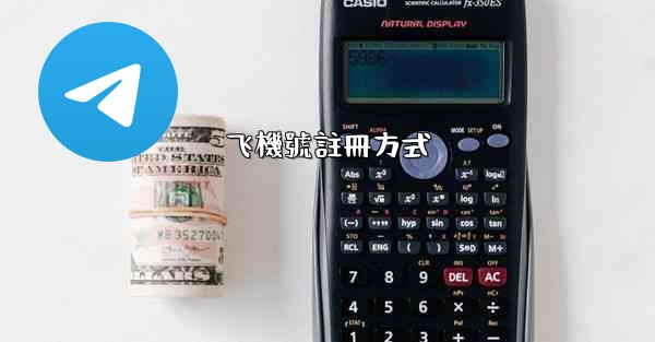 飞機號註冊方式