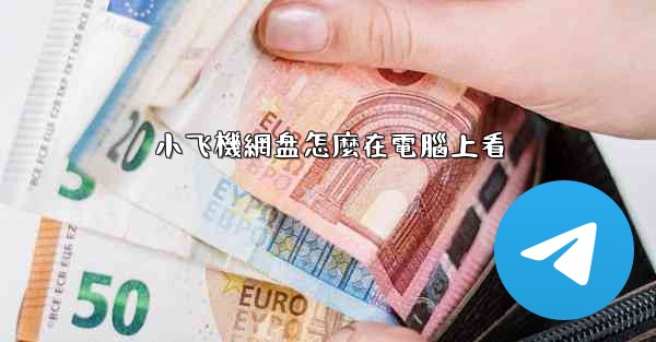 小飞機網盘怎麼在電腦上看