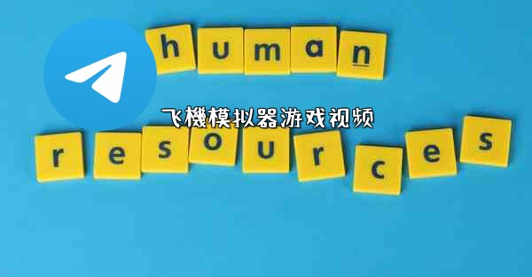 飞機模拟器游戏视频