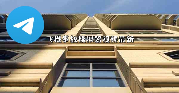 飞機事故模拟器视频最新