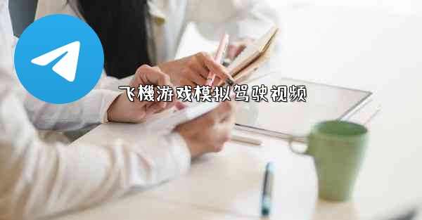 飞機游戏模拟驾驶视频