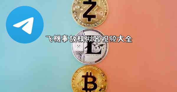 飞機事故模拟器视频大全