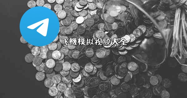 飞機模拟视频大全