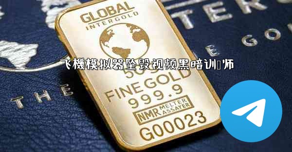 飞機模拟器坠毁视频黑暗训兽师